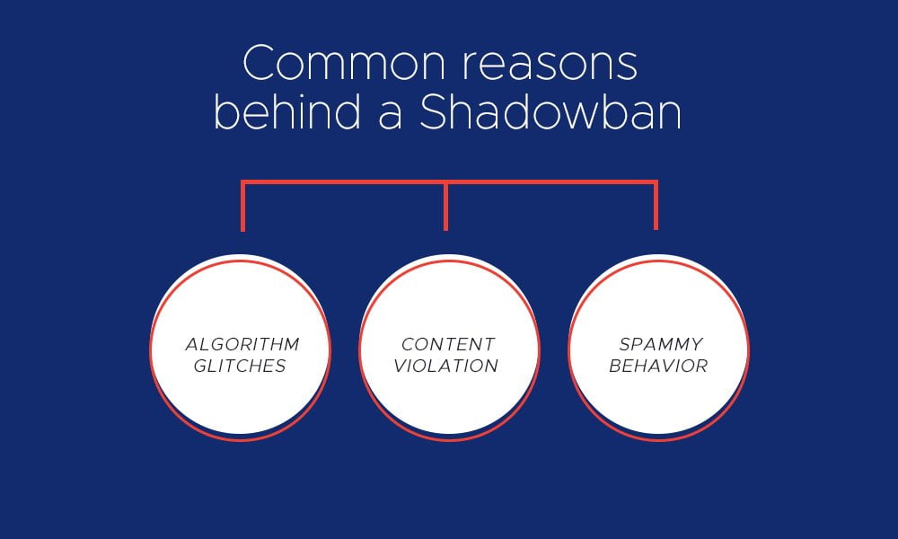reasons behind tiktok Shadowban
