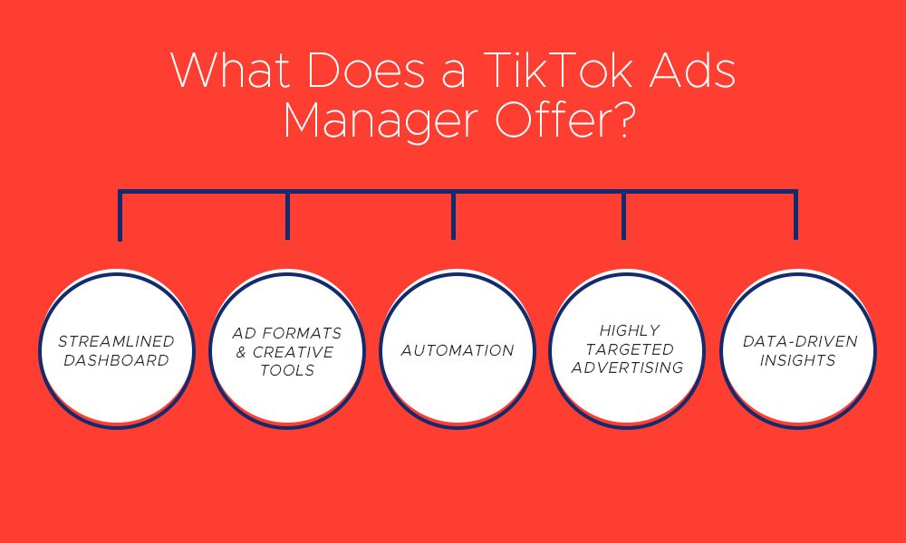 What Does a TikTok Ads Manager Offer