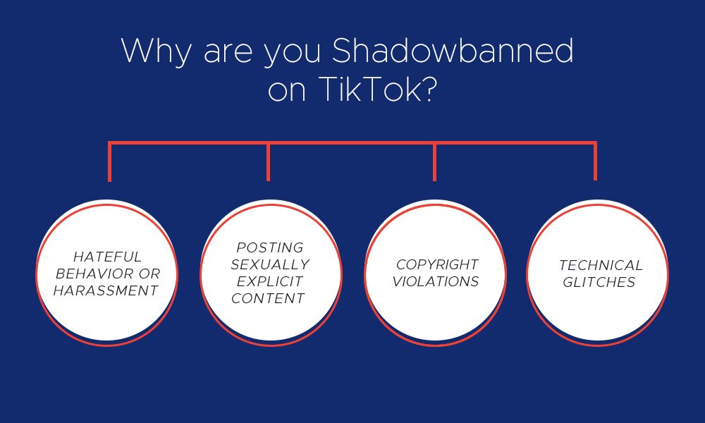 Why are you Shadowbanned on TikTok?​